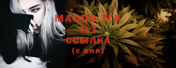 индика Рославль