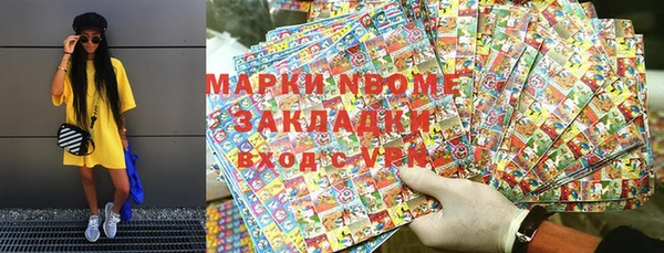 шишки Саяногорск