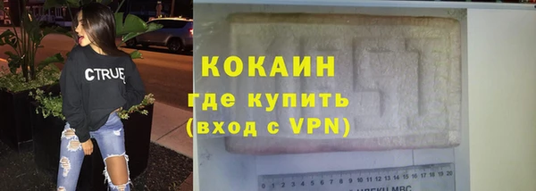 индика Рославль