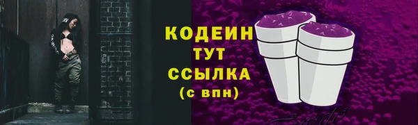 прущий лед Верея
