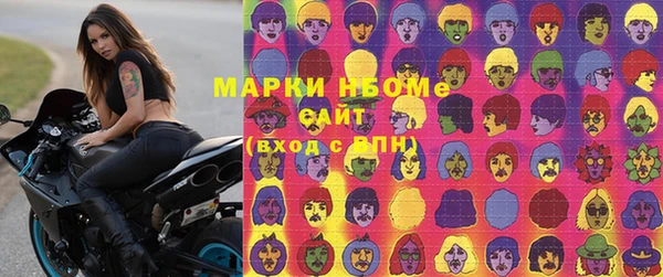 шишки Саяногорск