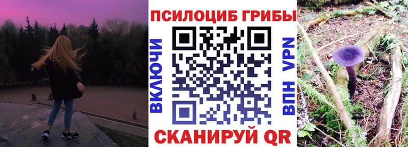 Псилоцибиновые грибы ЛСД  MEGA   Рузаевка  сколько стоит 